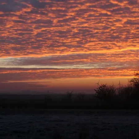 Ferienwohnung-sonnenmeer 아파트 뉴할링거지어